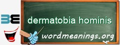 WordMeaning blackboard for dermatobia hominis